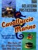 Cavalluccio_Marino